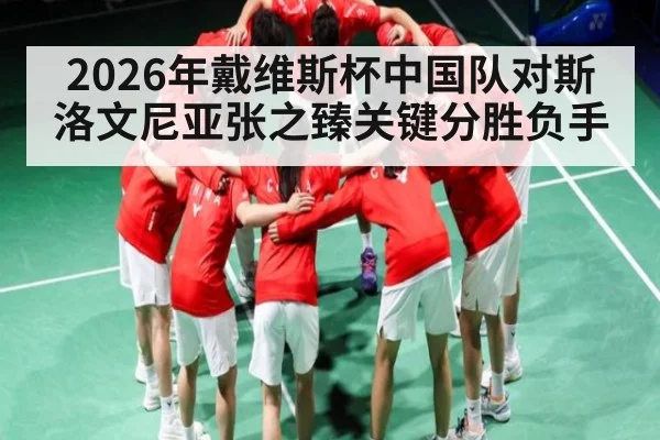 2026年戴维斯杯中国队对斯洛文尼亚张之臻关键分胜负手
